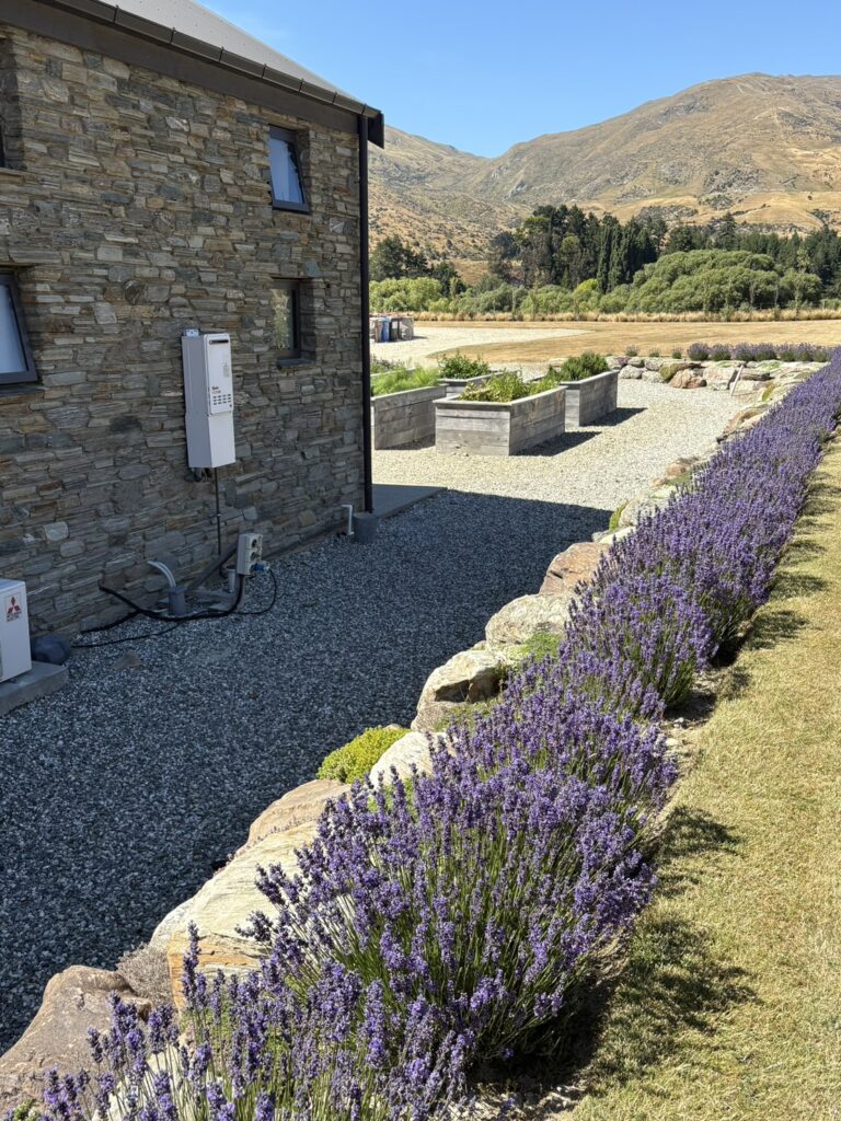 カードローナ蒸溜所の周辺はお花畑。女性創業者ならでは。