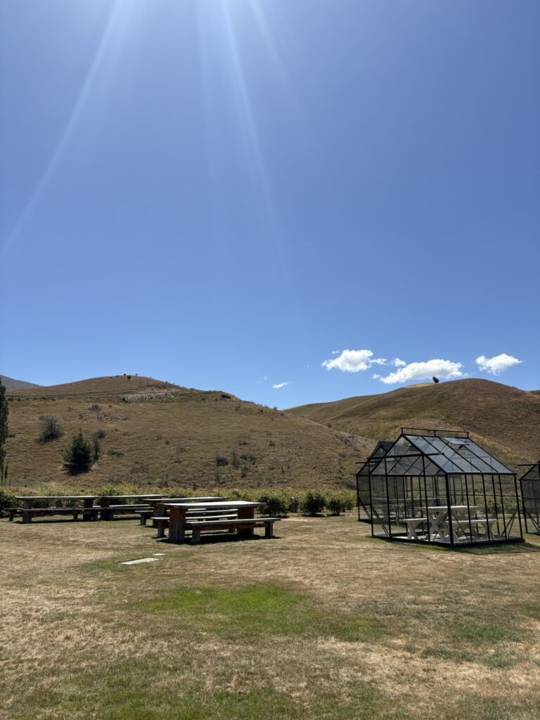 ニュージーランド、カードローナ・バレーの清らかな空の下に佇む蒸留所。スコットランドの農家をイメージした天然石と天然木の美しい建物が、色鮮やかなバラ園に囲まれている風景