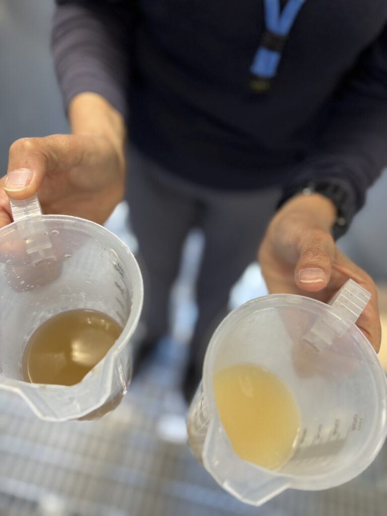 まるでパン作りのように丁寧に取り扱われる4kgの酵母。一滴に1億個の生命が宿り、砂糖をアルコールと風味へ変えていく「魔法の粉」の様子