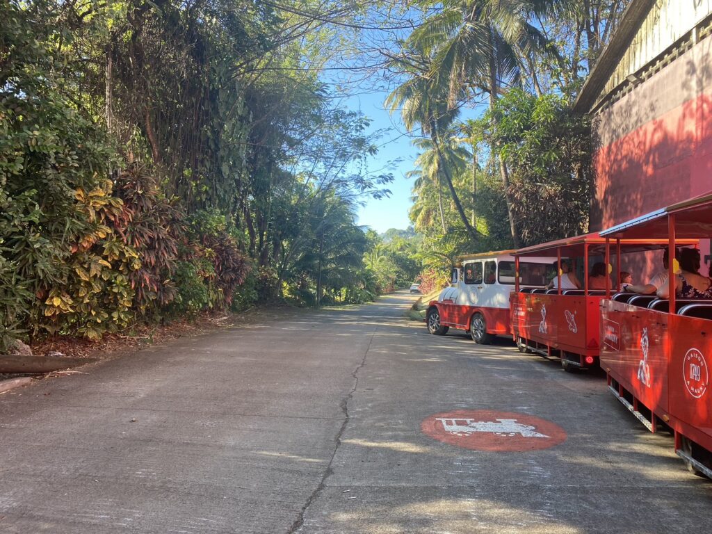 Ti Trainを待っている様子