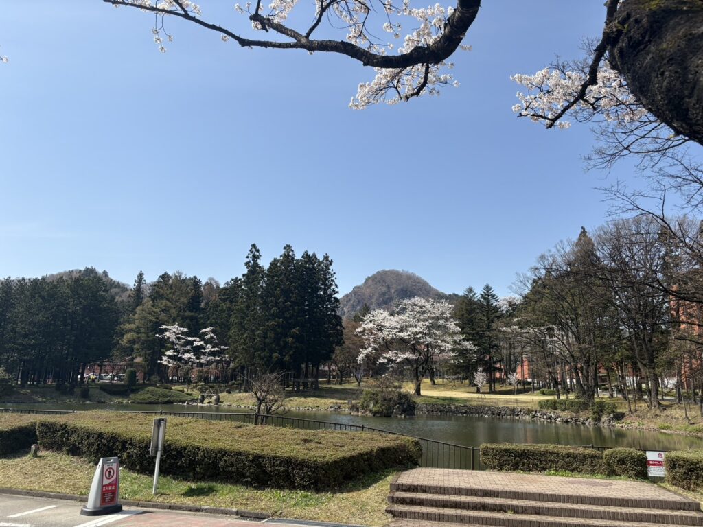 ニッカ宮城峡の桜とゴリラ山