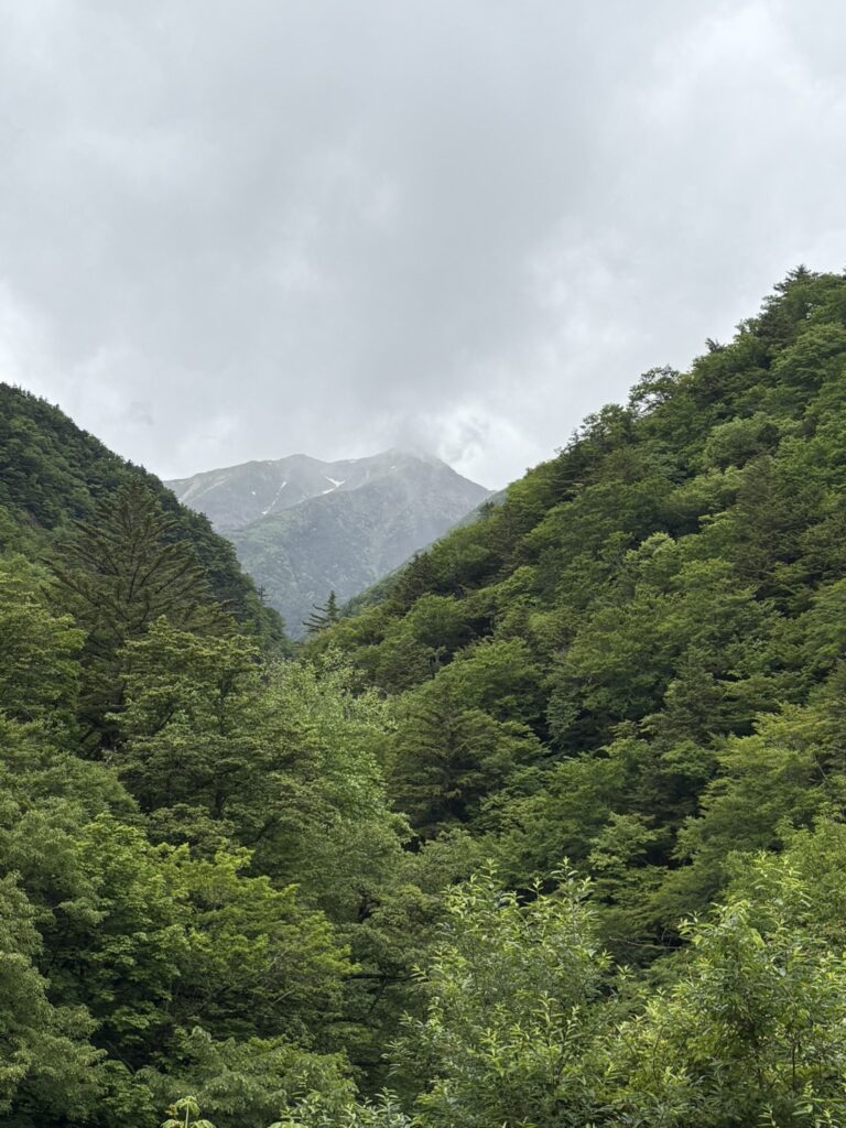 井川蒸溜所クマタカのデザインになった場所