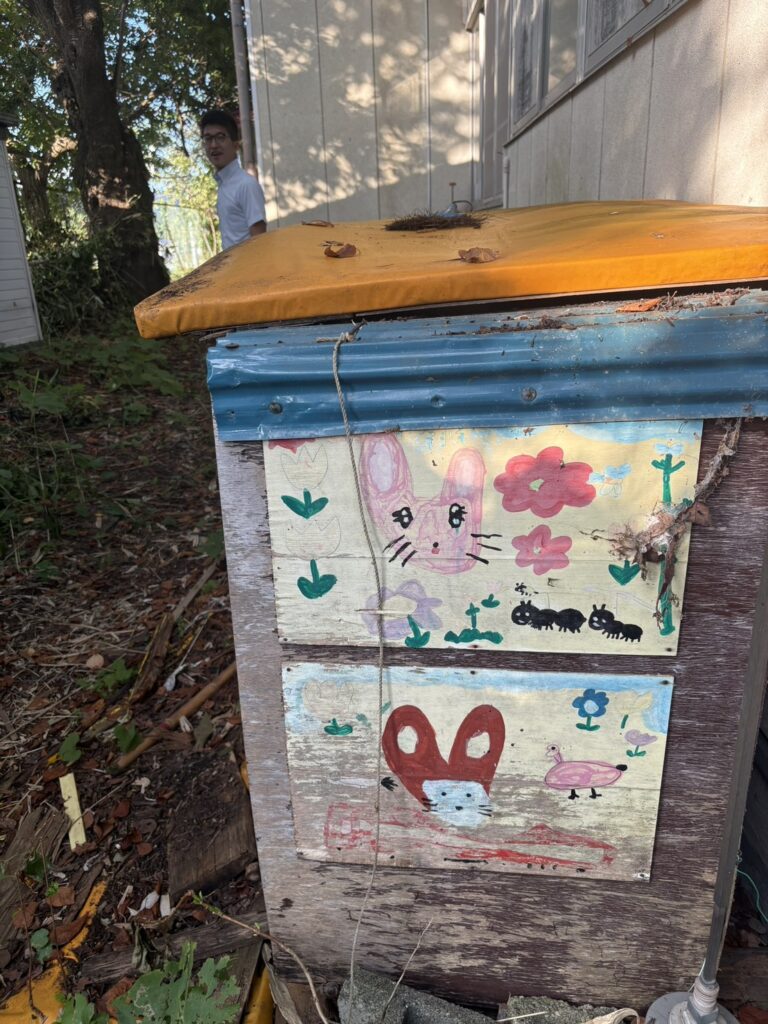 旧つなぎ幼稚園に残る、子どもたちが描いたうさぎと花の絵